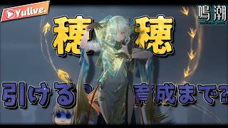 【鳴潮】穂穂引けるかな？+育成できるかな？