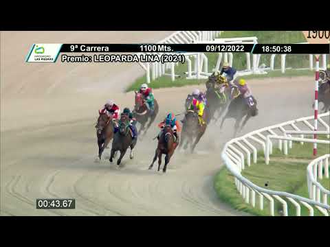 221209 c09 - BETTER ZIP (BRZ) - HIPODROMO LAS PIEDRAS