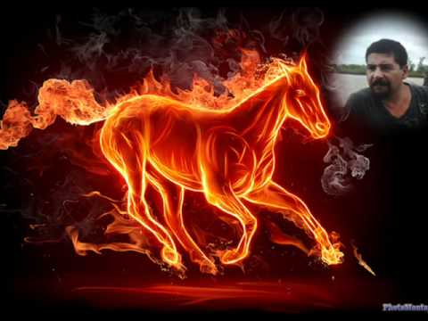 los angeles del rock....candy.wmv