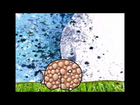 Unmoving Plaid Animation Test