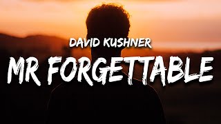 David Kushner - Mr. Forgettable (Lyrics) &quot;hello hello are you lonely&quot;