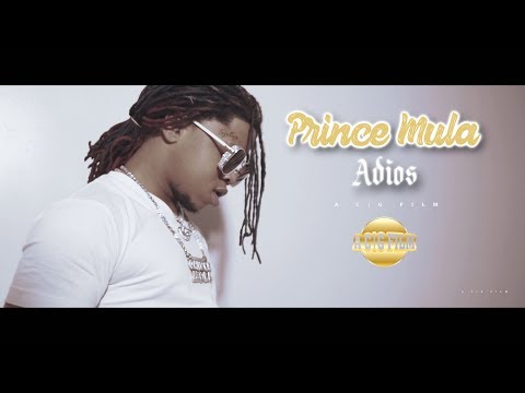 Prince Mula - Adios (Official Music Video) | Shot By @ACGFILM