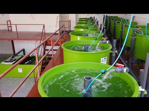 AKUAMAKS SMALL RAS FOR RESEARCHERS