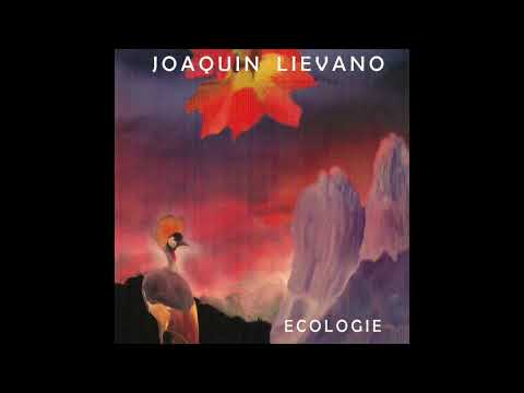Joaquin Lievano - Coral Sea | Ecologie