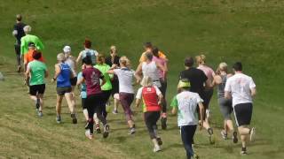 Start 15. Blaguškega teka