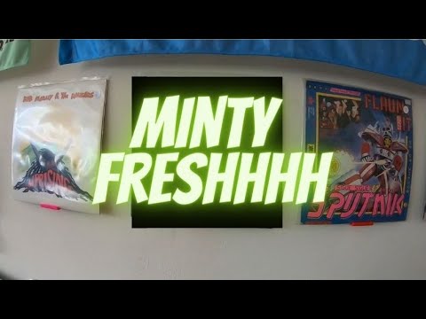 Record Store Diaries | This Was A Stunning Find