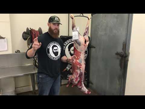 How to Dry-Age a Deer Carcass by The Bearded Butchers!