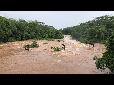 Rio Aguapeí em Cheia em Salmourão–SP | 14 de Dezembro de 2025