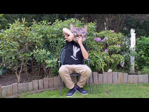 Zmoalăcazan x Cleg - Dacă m-ar vedea acum (Fazy Lankism Cover)