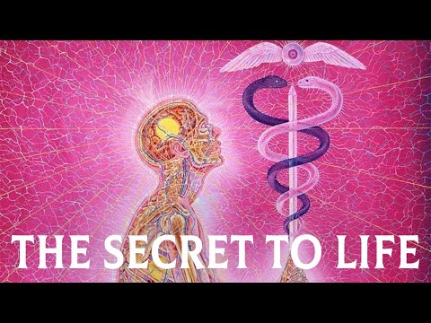 The Secret To Life And Real Happiness