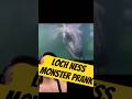 The Loch Ness Monster Animatronic Underwater #submechanophobia #thalassophobia #creepy #animatronics