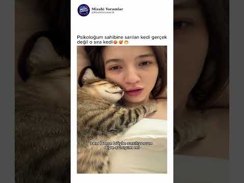 Psikoloğum sahibine sarılan kedi gerçek değil o sıra kedi😂😅😁