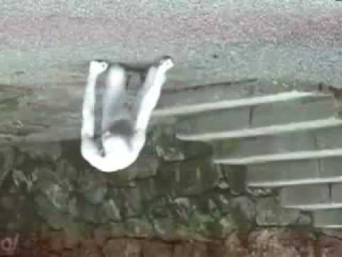 Robbie Robertson - Making a Noise.mp4