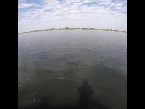 Tiger Fishing 14 LB Fly Caught Tiger Fish