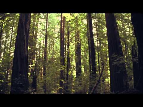 Y La Bamba - Ponce Pilato [Official Music Video]