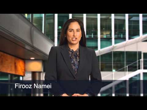 Attorney Firooz Namei