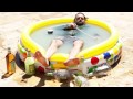 The Last Man on Earth - Porta-Potty Song 