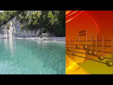 Bumble Boogie Woogie   The Desmounts