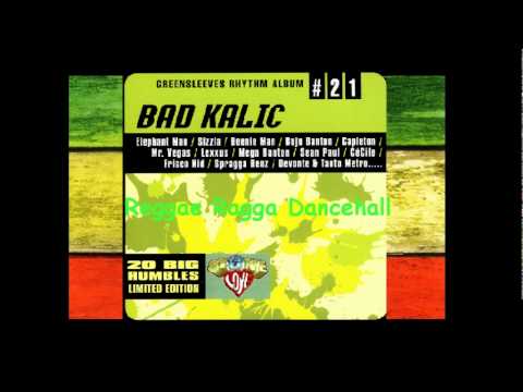 Reggae Ragga Dancehall vol_3