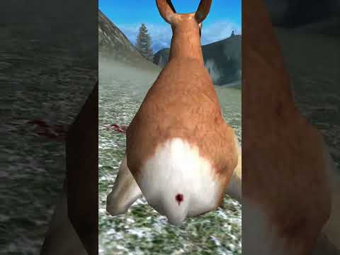 The PERFECT shot 🍑🔫 | HUNTING UNLIMITED 2009 #shorts