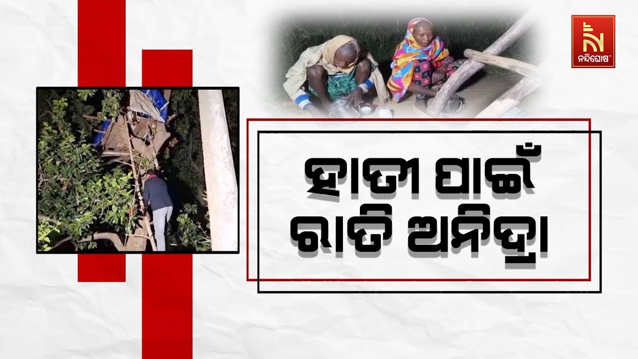 ଚାଷୀଙ୍କୁ ହାତୀ ଚିନ୍ତା: ଚାଷର ସୁରକ୍ଷା ପାଇଁ ମଞ୍ଚାରେ ବିତୁ
