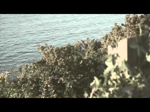 My Hearts Surrender - Chris de Burgh