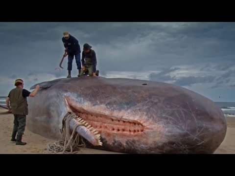 What These People Found Changed Their Lives Forever