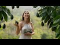 The Bountiful Food Of The Rainforest