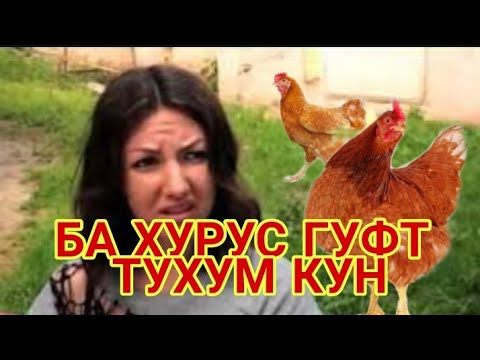 БА ХУРУС ГУФТ ТУХУМ МЕКУНИ 04.04.2019 кадамшо исоев