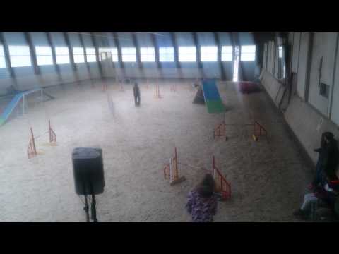 14.03.2015 Andrea Deeg +Juju A1 in Bad Urach