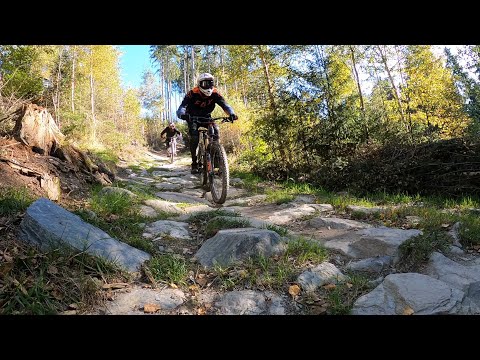 Roll & Rock Downhill 2021