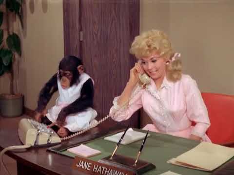 The Beverly Hillbillies, S4, E132 (The Folk Singers)