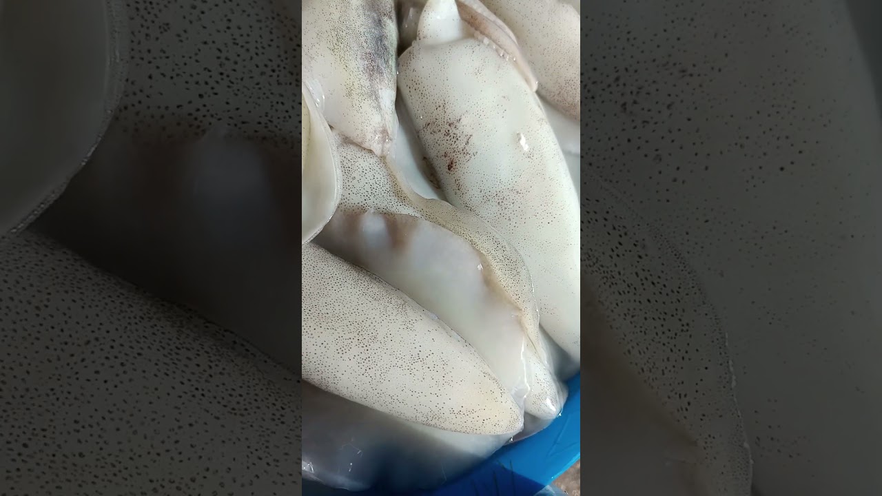 Fresh crabs, shrimps and squid #seafood #trending