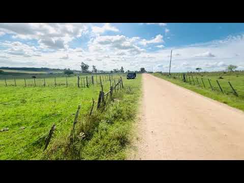 Alquiler Chacra 1Ha Logística 3km ciudad Trinidad Flores #inmobiliaria #realestate #uruguay #chacras