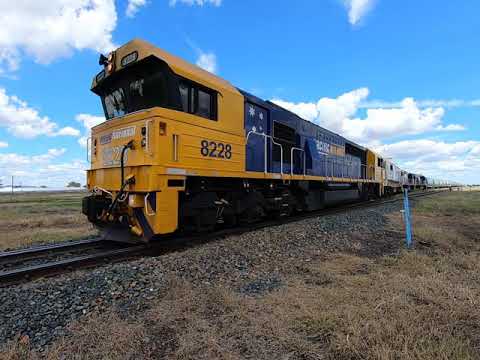 8228, 8133, 8237 &  8207 at Wirrinya NSW.  Mon 08th Feb 2021