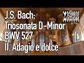 J.S. Bach: Triosonata d-minor BWV 527, II. Adagio e dolce - Olga Minkina, organ