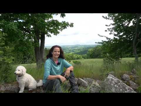 Waldreisen -  mein Herzensprojekt