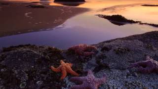 Reason to cry-Takida