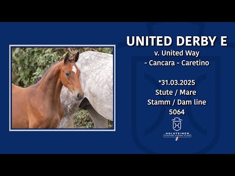 Tomorrow's Champions by Holsteiner 2025 | Nr. 07 v. United Way - Cancara