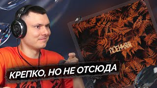 Медиа рецензия