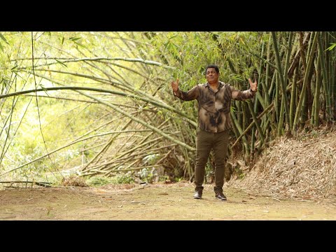 TE PEÇO PERDÃO (LIVES) - MARCOS ANTÔNIO O NEGRÃO ABENÇOADO