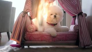 Sabrina Carpenter Rap | Adventures in Babysitting | Disney Channel