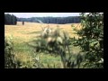Творожное озеро - Юные волны (Unofficial Video) 