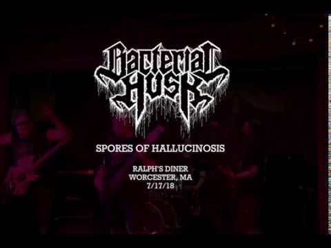 Bacterial Husk - Spores of Hallucinosis - Live from Worcester, MA - 17 July 2018