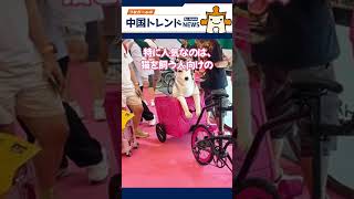 猫好き注目!中国発スマート猫トイレの実力とは