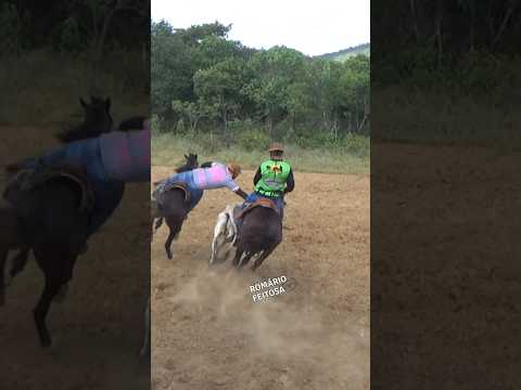 Veim SALTOU diferente #pegadeboinomato #romariofeitosa