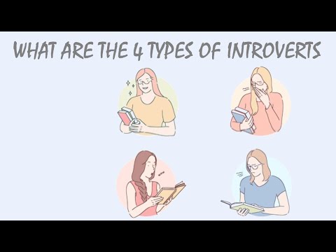 What Are The 4 Types of Introverts