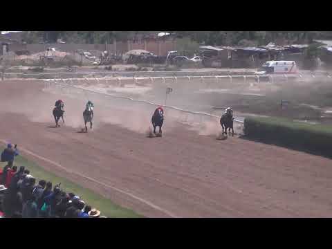 RELAMPAGO Jockey Club Neuquén, Domingo 12-11-2023