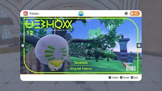 Pokémon Violet - 012 - Tarountula