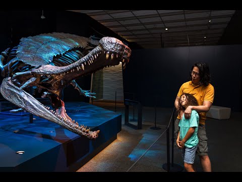 Croc! Lost Giants to Living Legends